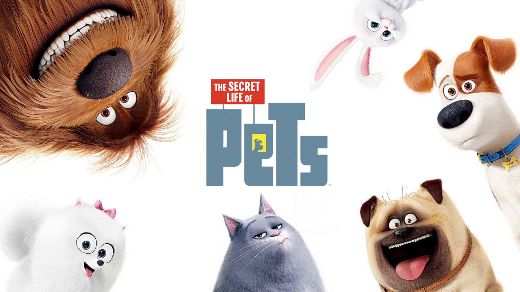 The Secret Life Of Pets Wallpapers