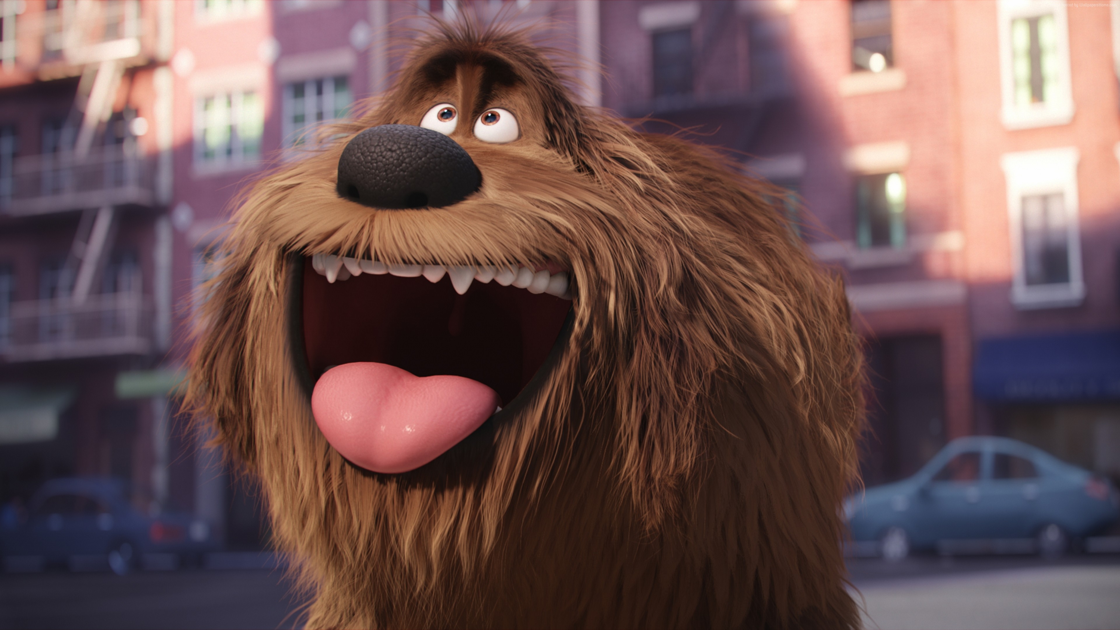 The Secret Life Of Pets Wallpapers