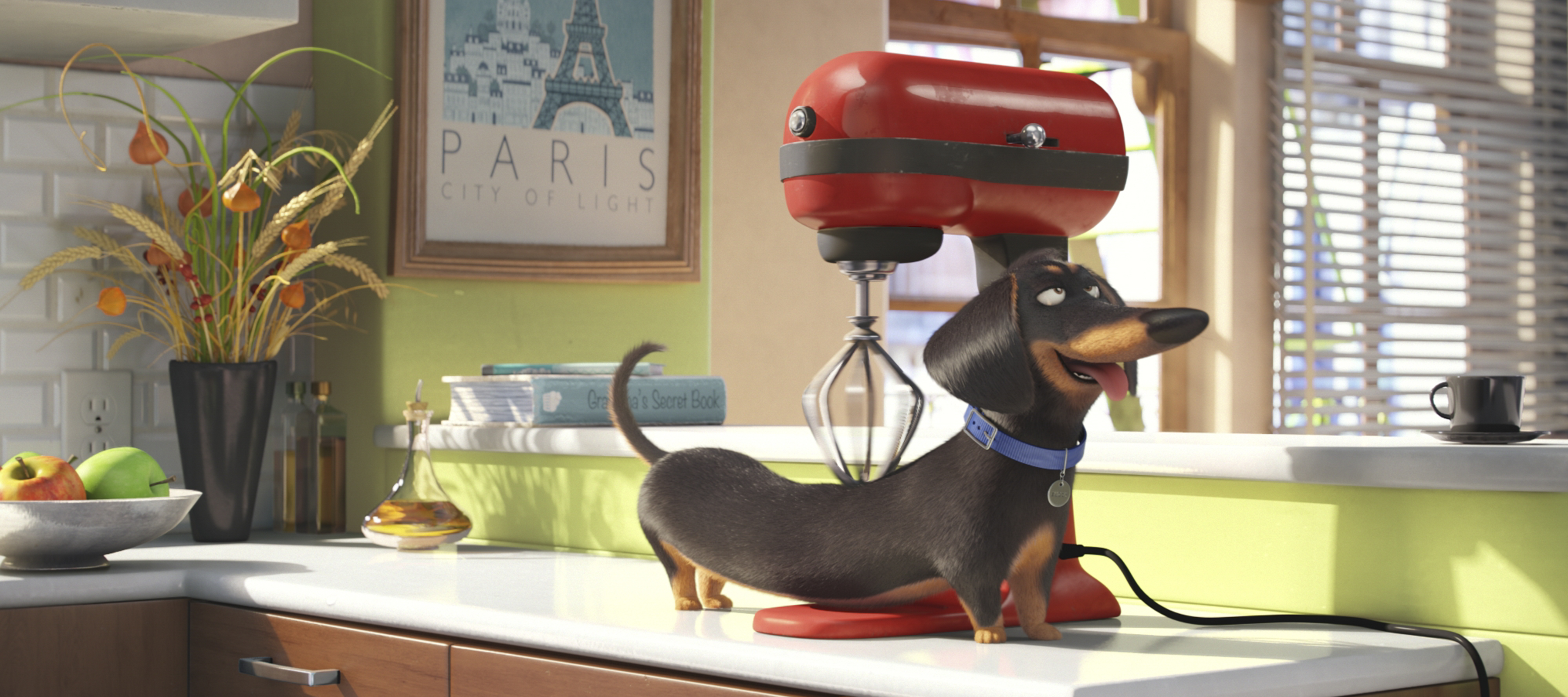 The Secret Life Of Pets Wallpapers