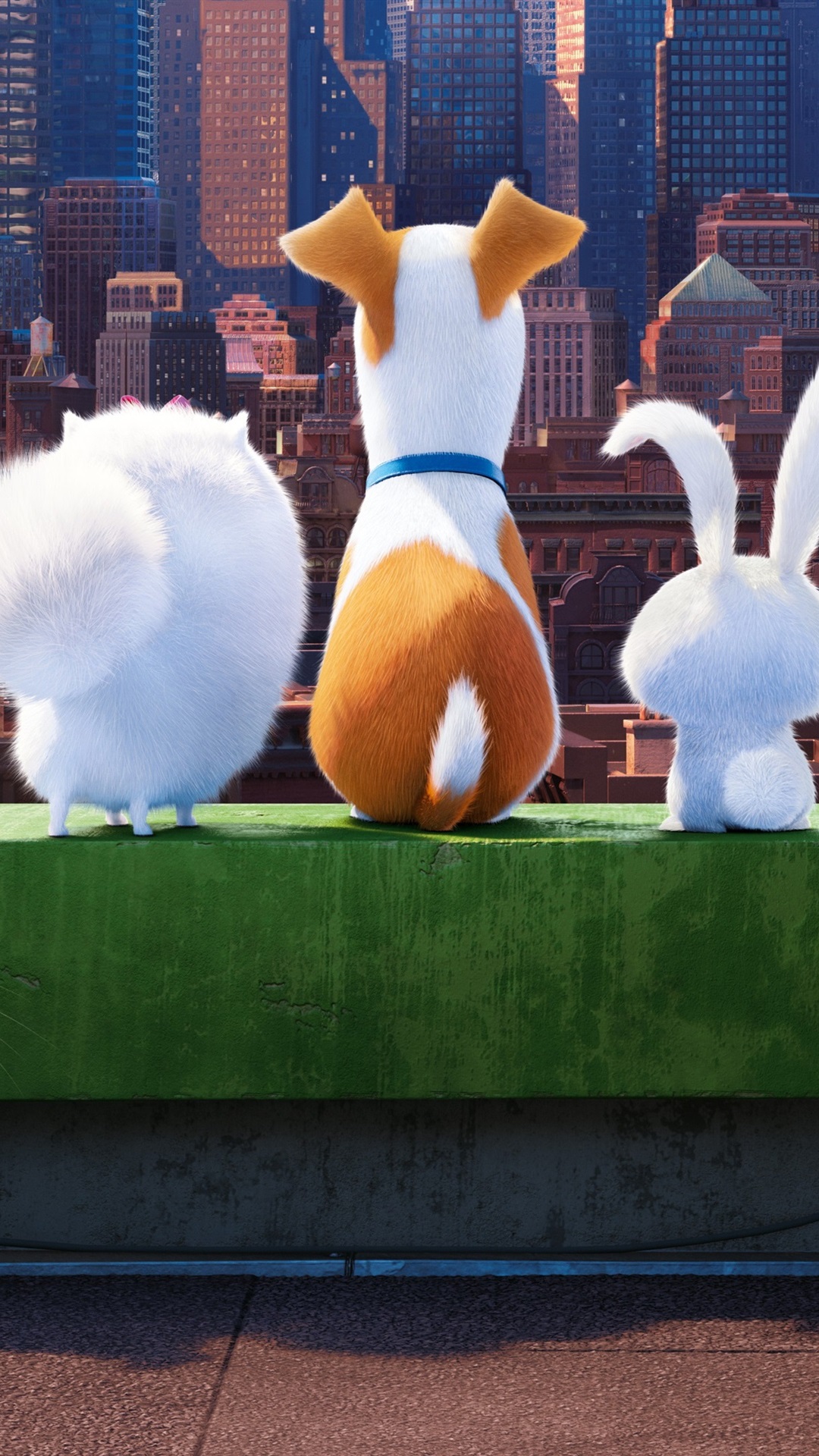 The Secret Life Of Pets Wallpapers