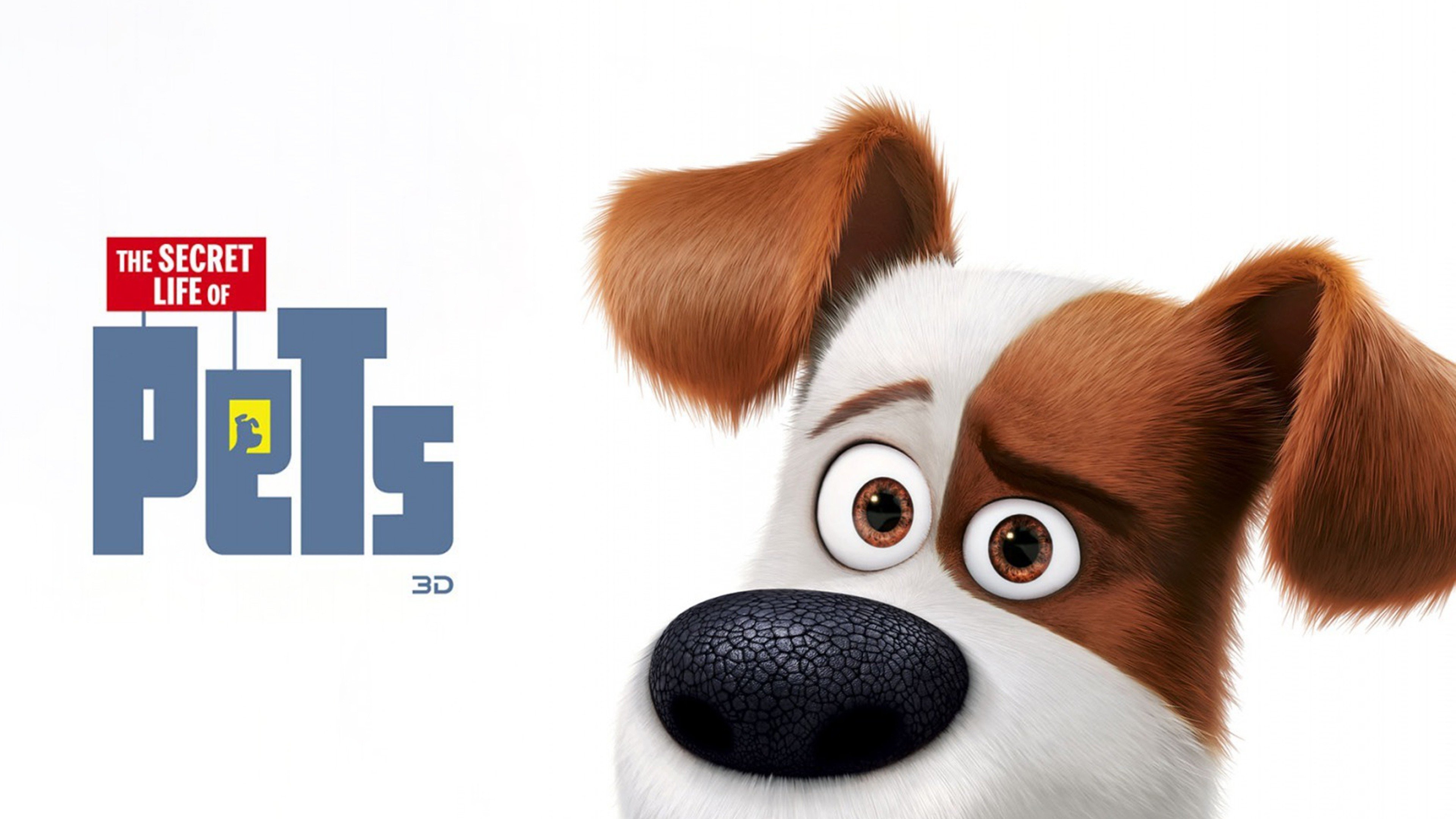The Secret Life Of Pets Wallpapers