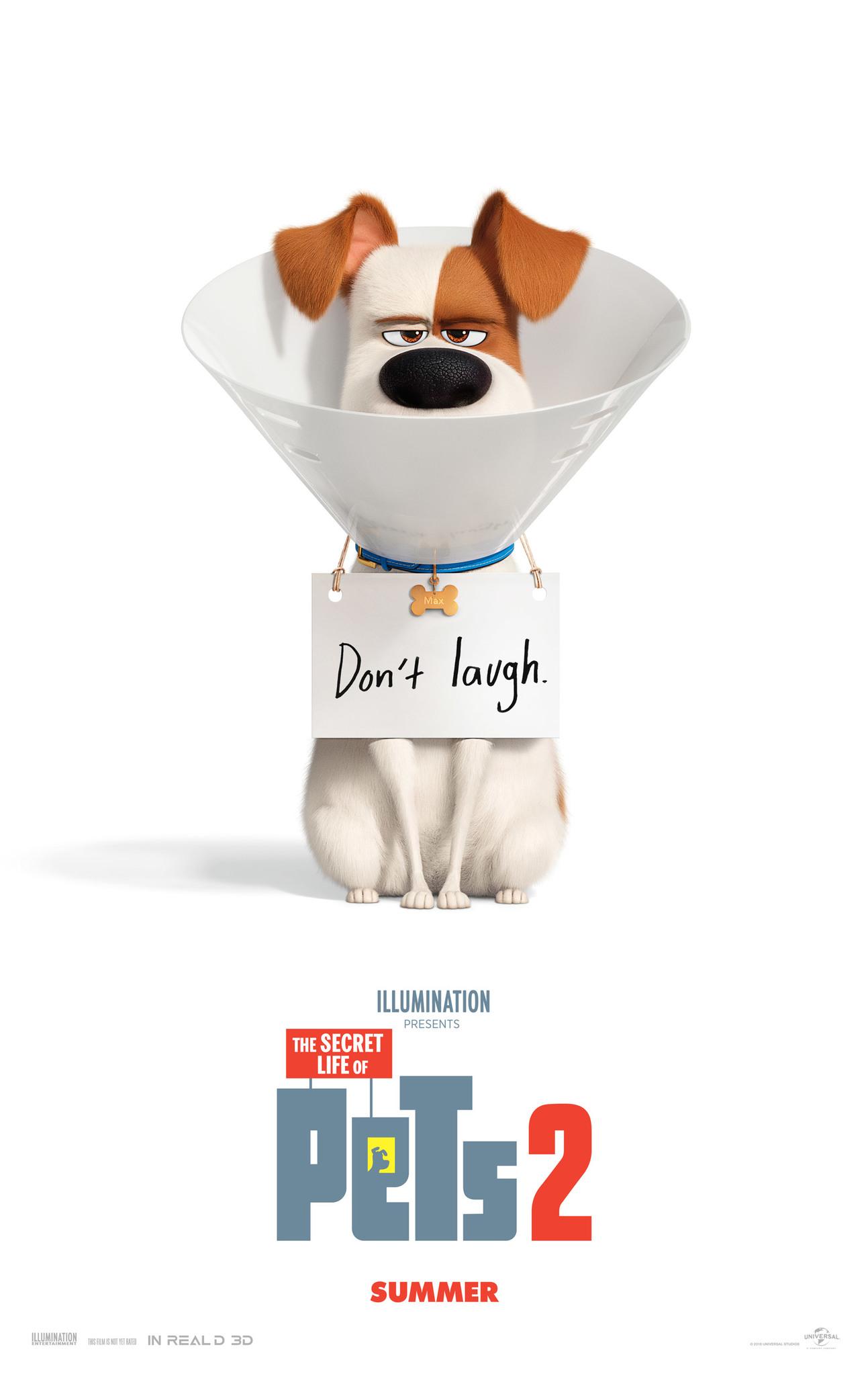 The Secret Life Of Pets 2 Movie Wallpapers