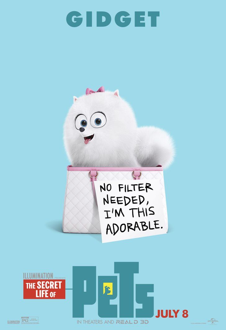 The Secret Life Of Pets 2 Movie Wallpapers