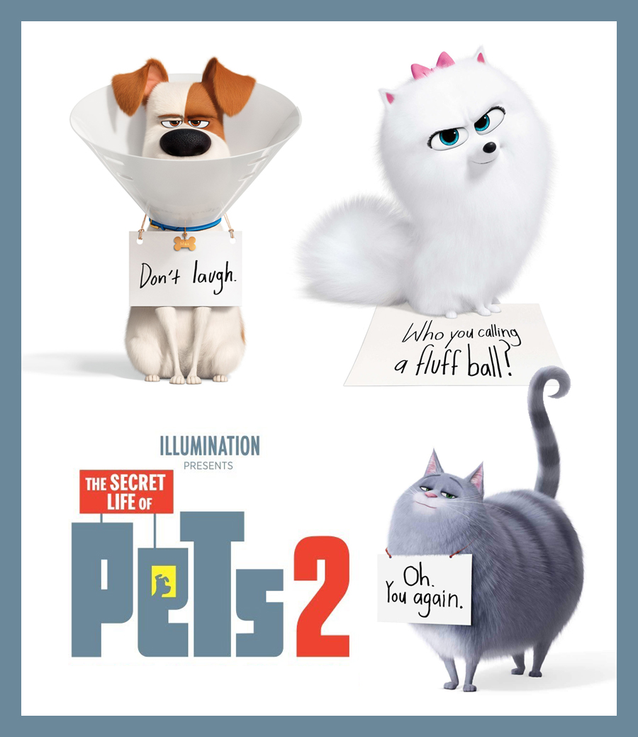 The Secret Life Of Pets 2 Movie Wallpapers