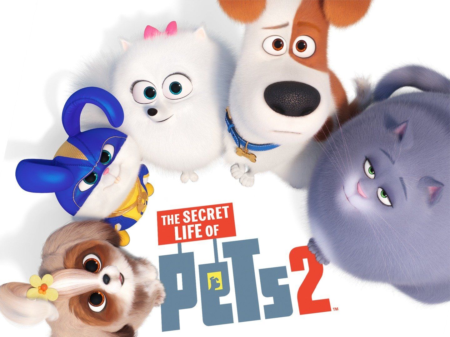 The Secret Life Of Pets 2 Movie Wallpapers