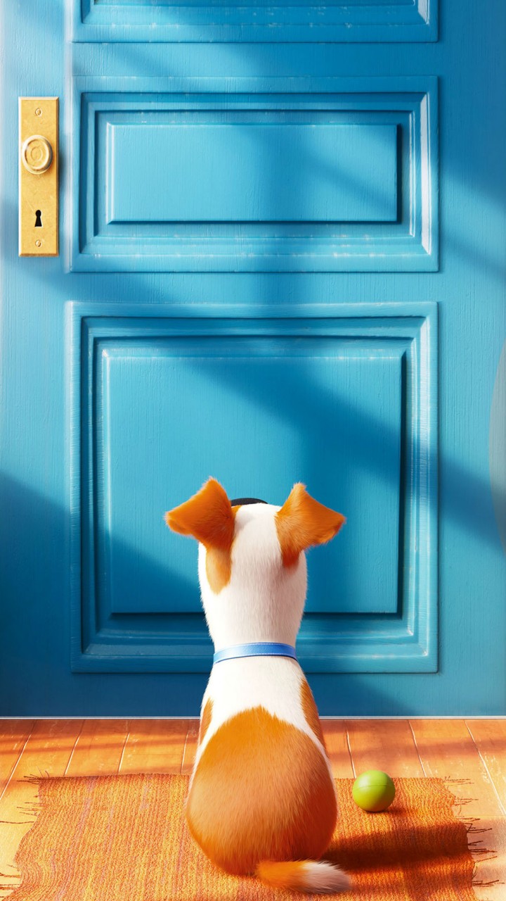 The Secret Life Of Pets 2 Movie Wallpapers