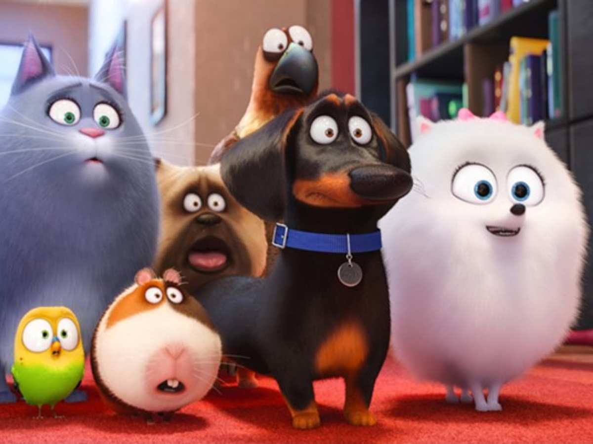 The Secret Life Of Pets 2 Movie Wallpapers