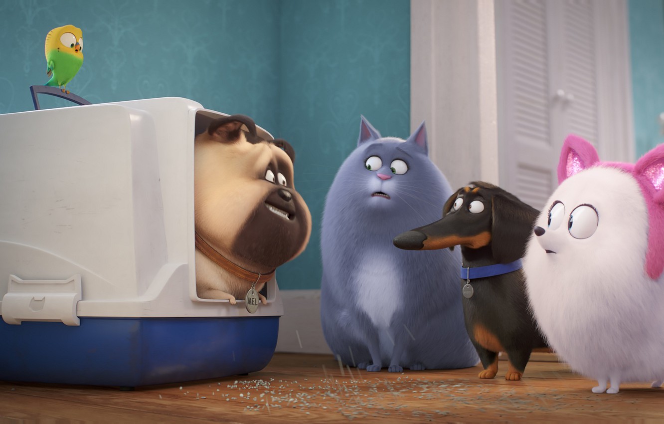 The Secret Life Of Pets 2 Movie Wallpapers