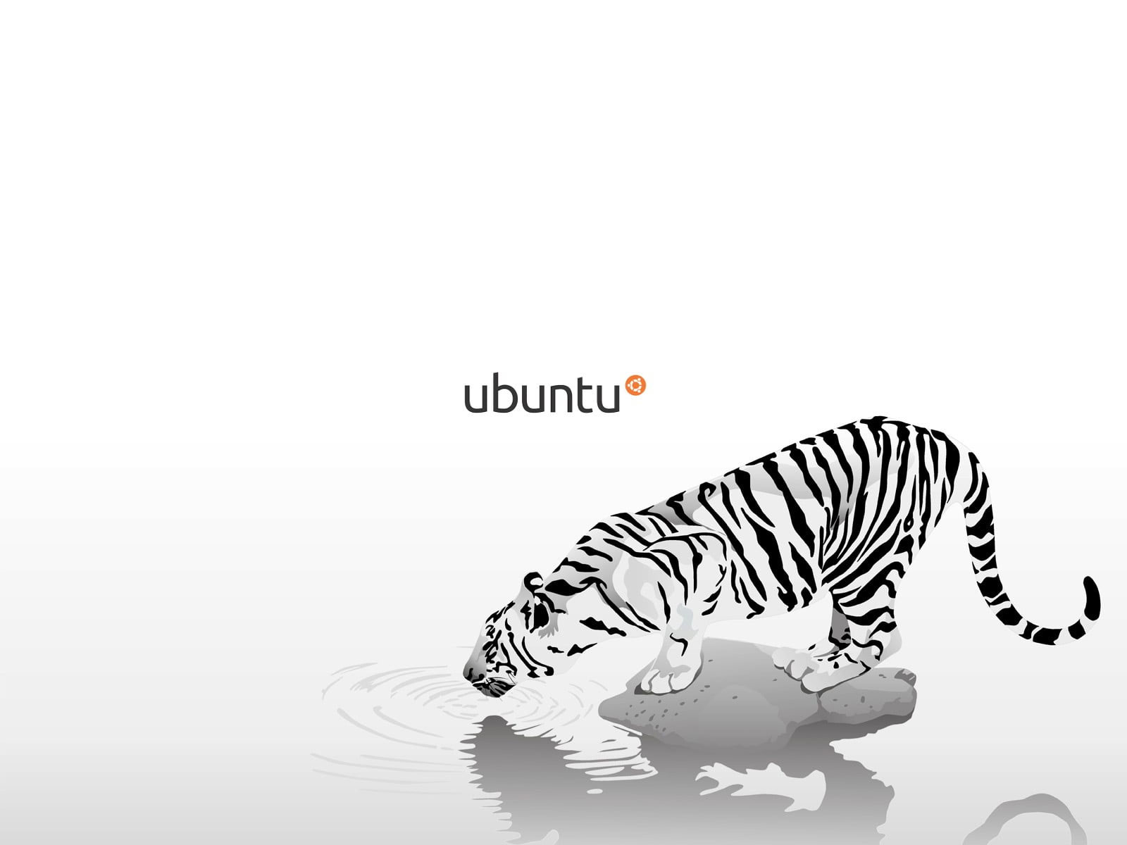 The White Tiger 2021 Wallpapers