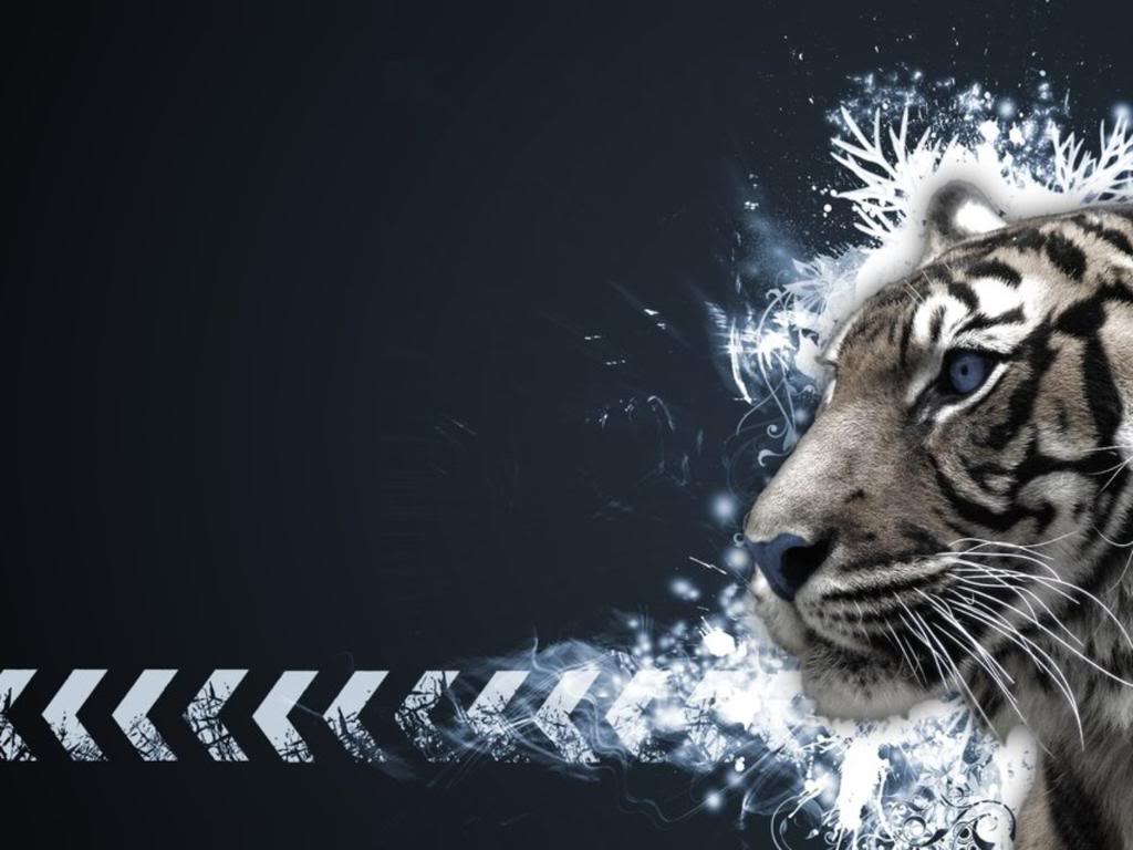 The White Tiger 2021 Wallpapers
