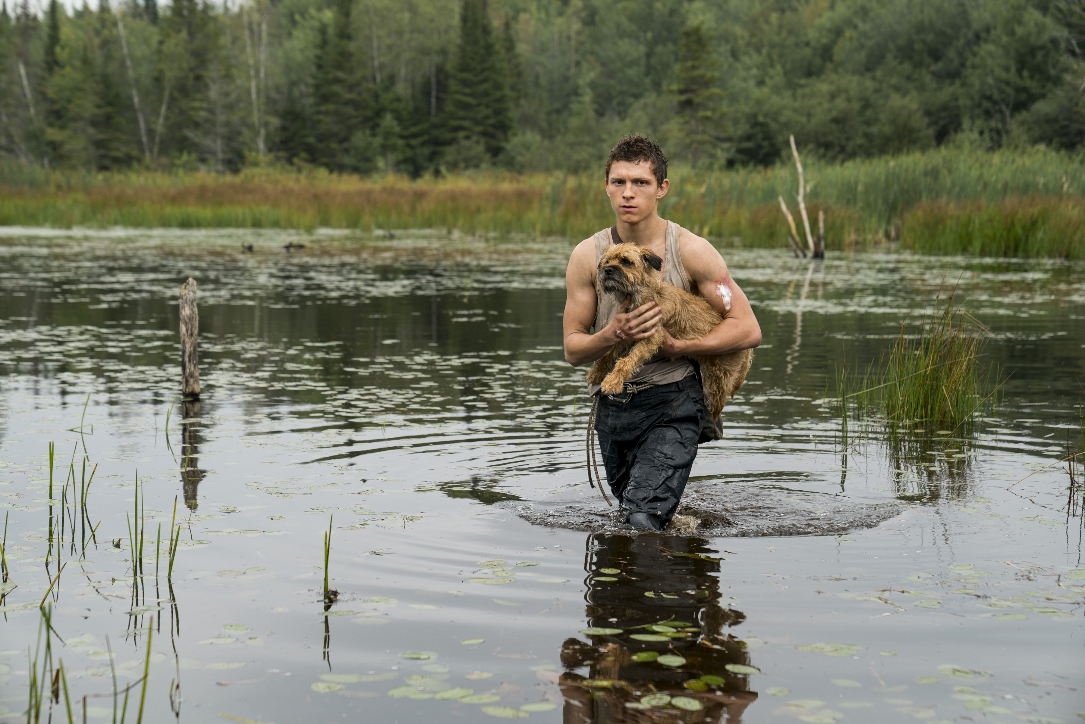 Tom Holland In Chaos Walking Wallpapers