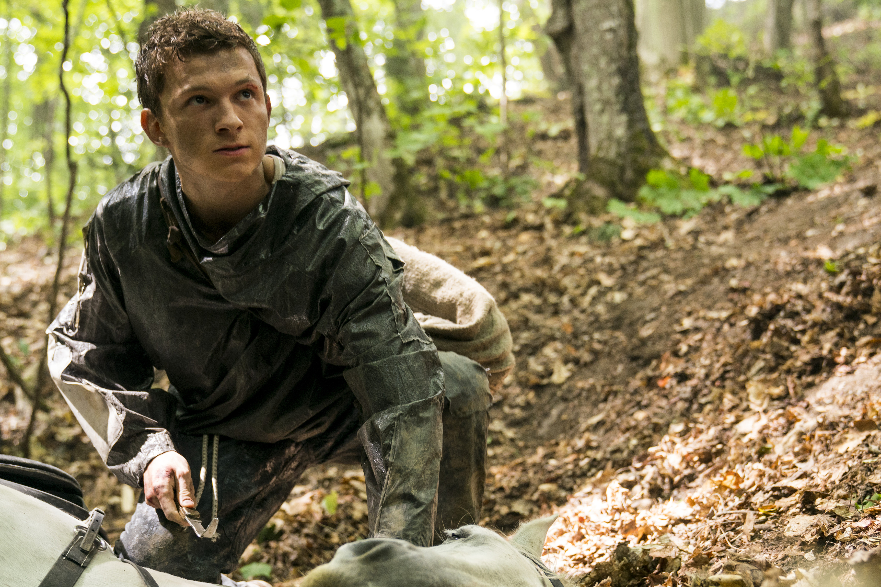 Tom Holland In Chaos Walking Wallpapers