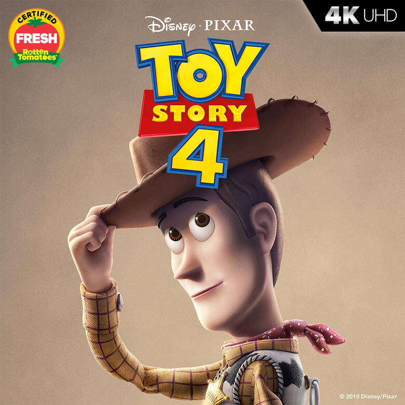 Toy Story 2019 Movie Poster Wallpapers