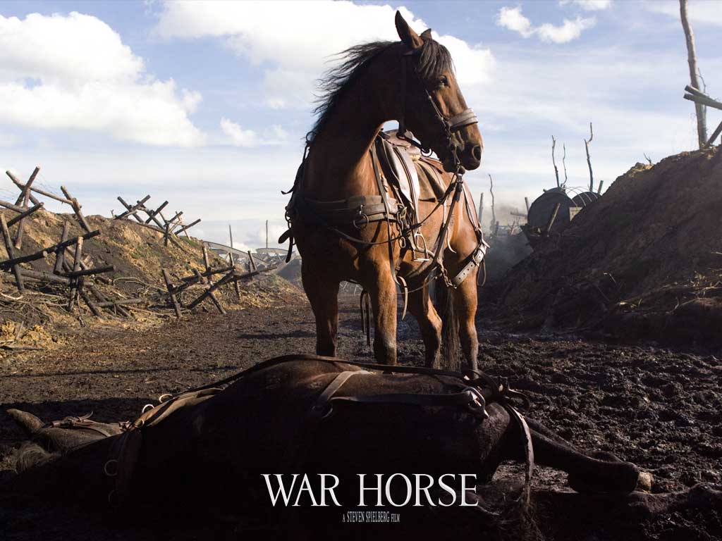 War Horse Wallpapers