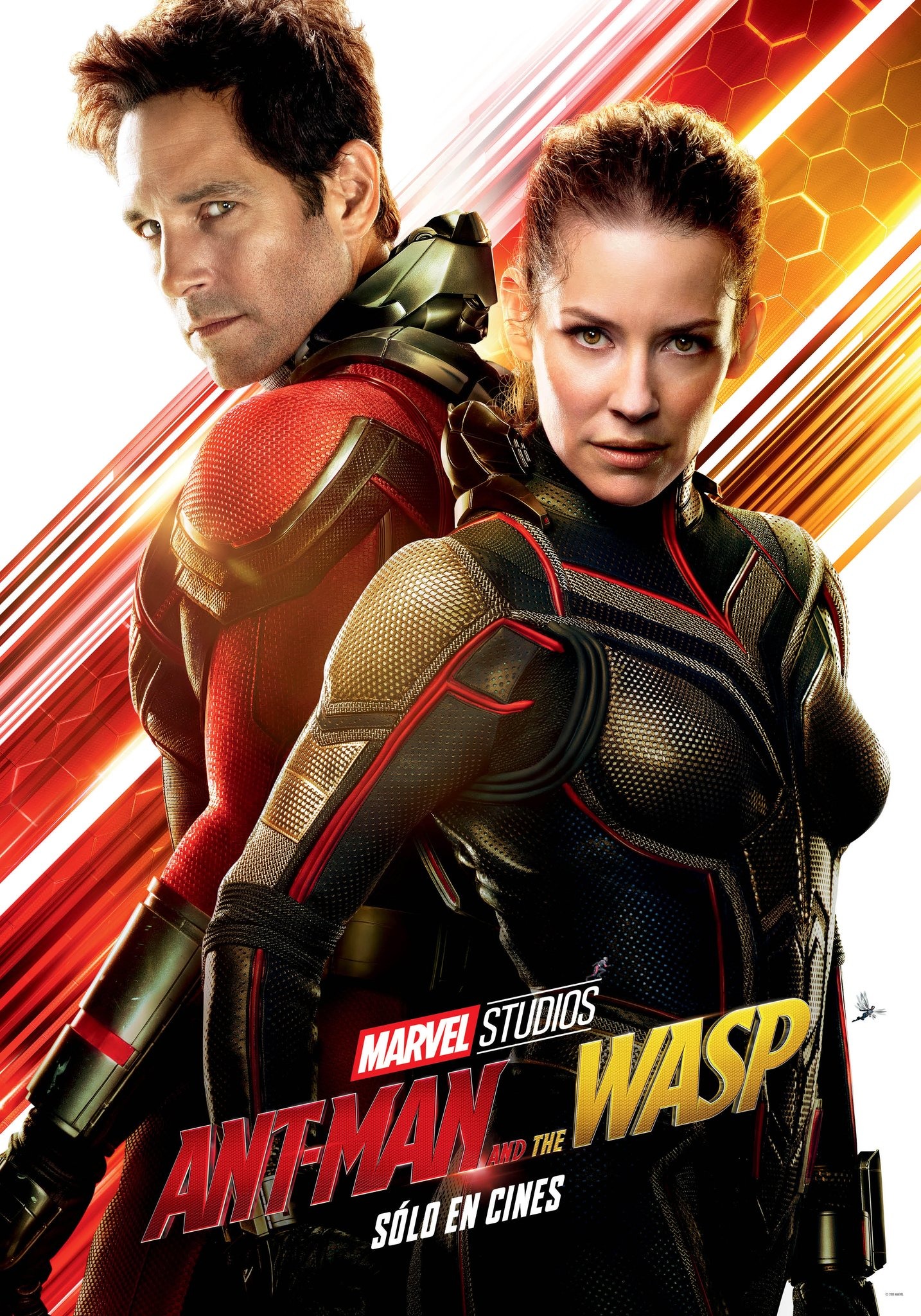 Wasp In Ant Man And The Wasp Movie 2018 Wallpapers