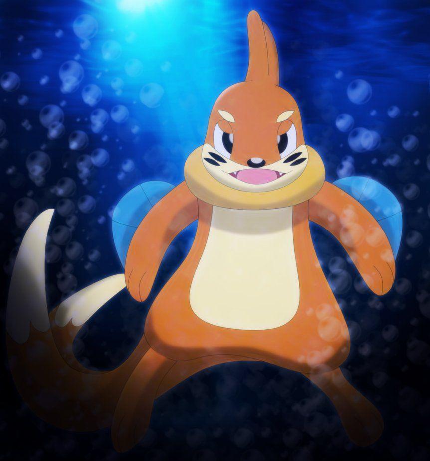 Buizel Hd Wallpapers