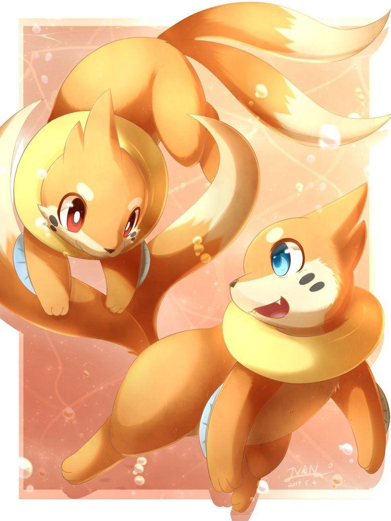 Buizel Hd Wallpapers