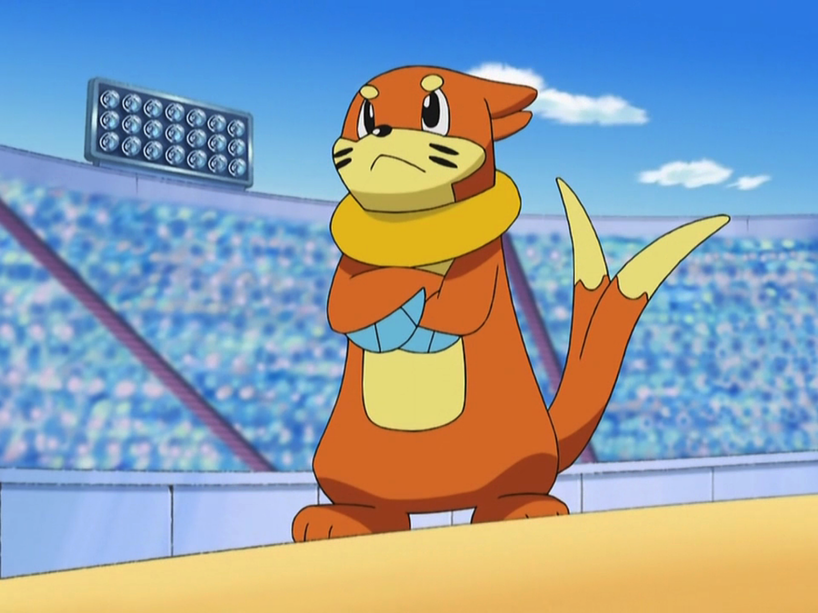 Buizel Hd Wallpapers