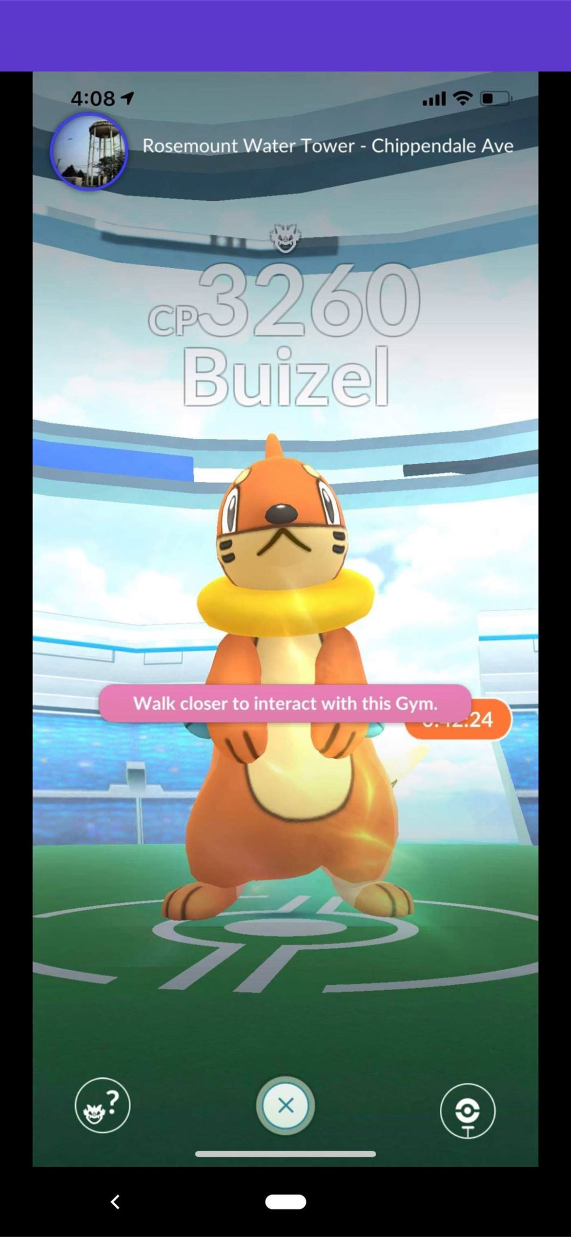 Buizel Hd Wallpapers