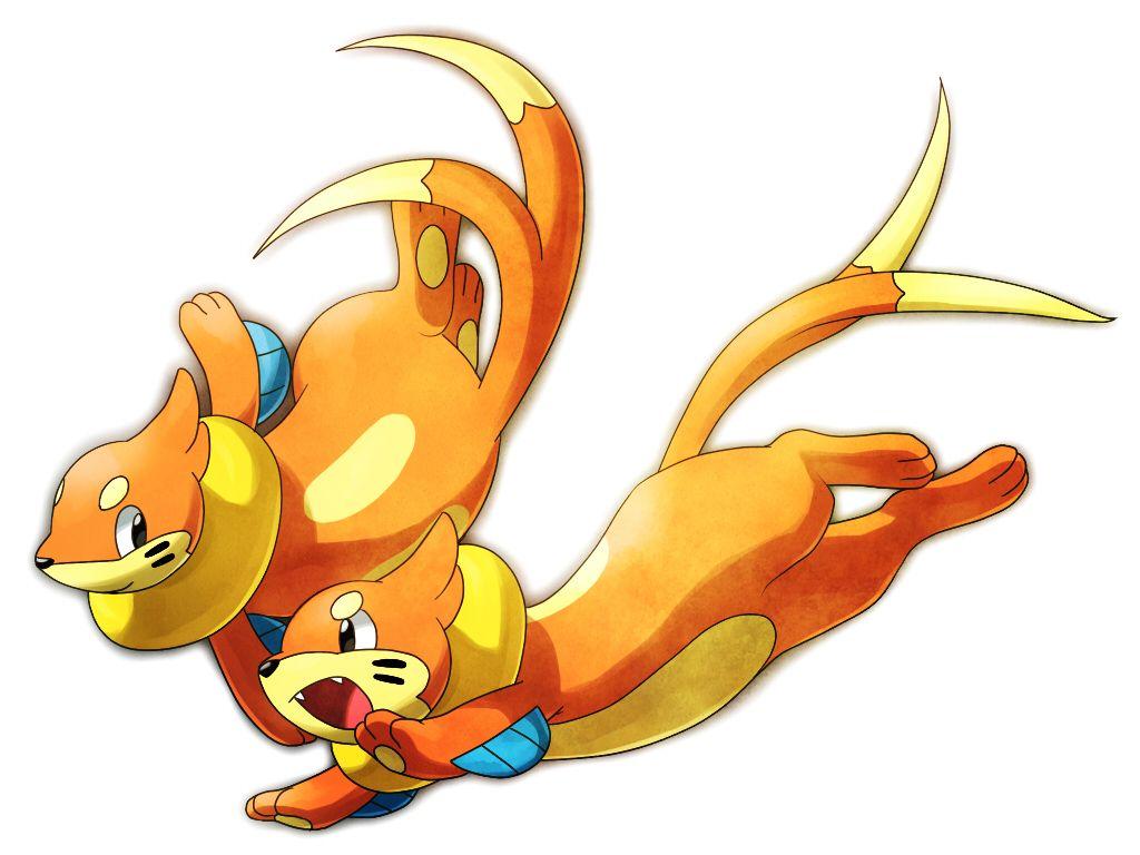 Buizel Hd Wallpapers