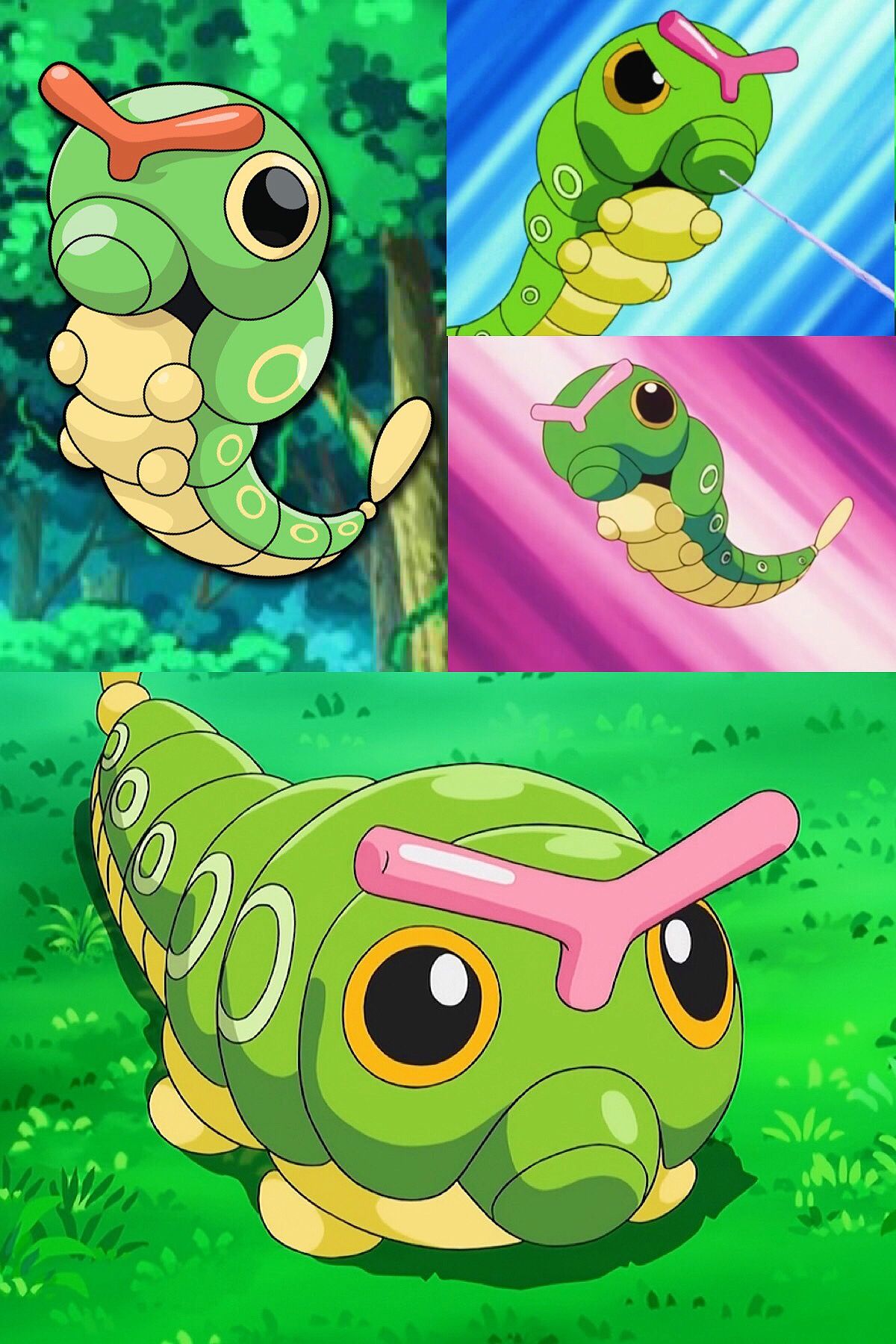 Caterpie Hd Wallpapers