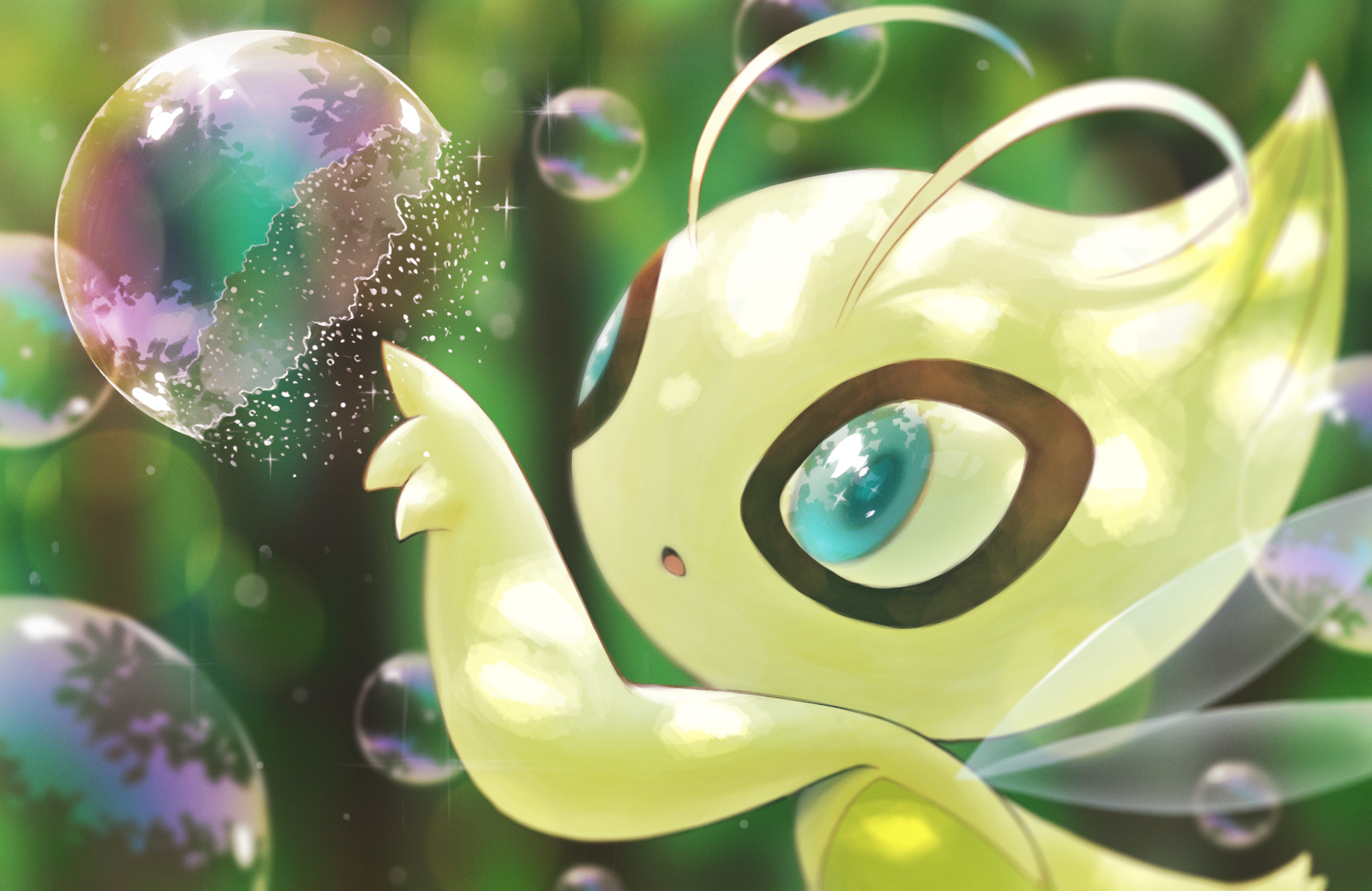 Celebi Hd Wallpapers