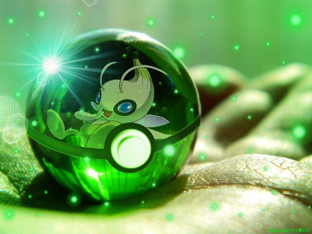 Celebi Hd Wallpapers