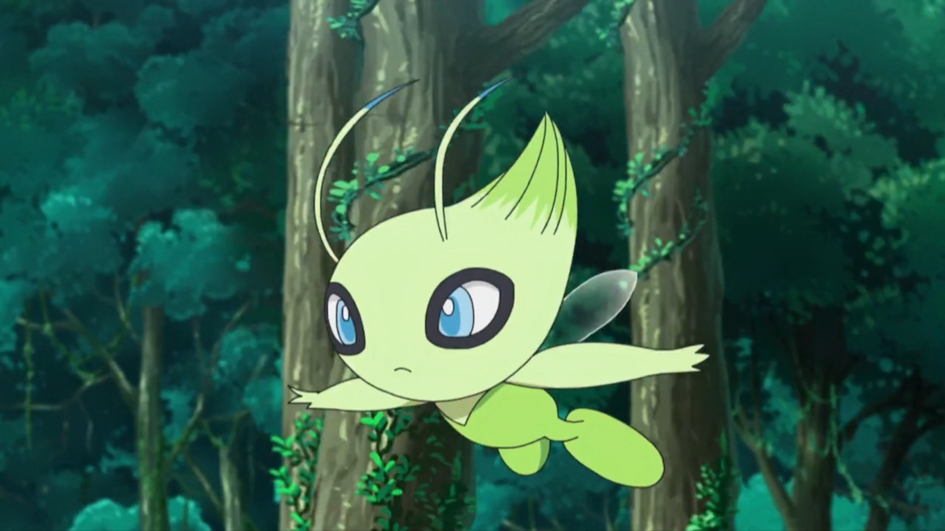 Celebi Hd Wallpapers