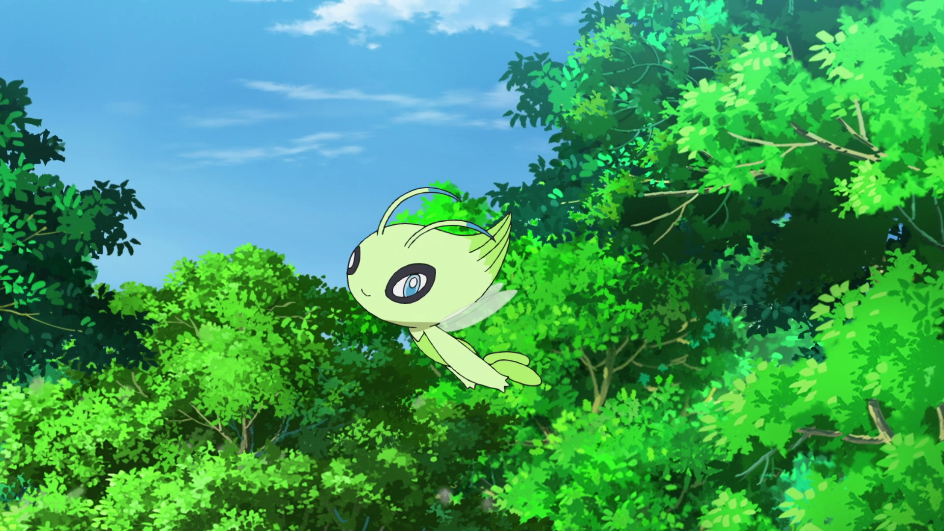 Celebi Hd Wallpapers