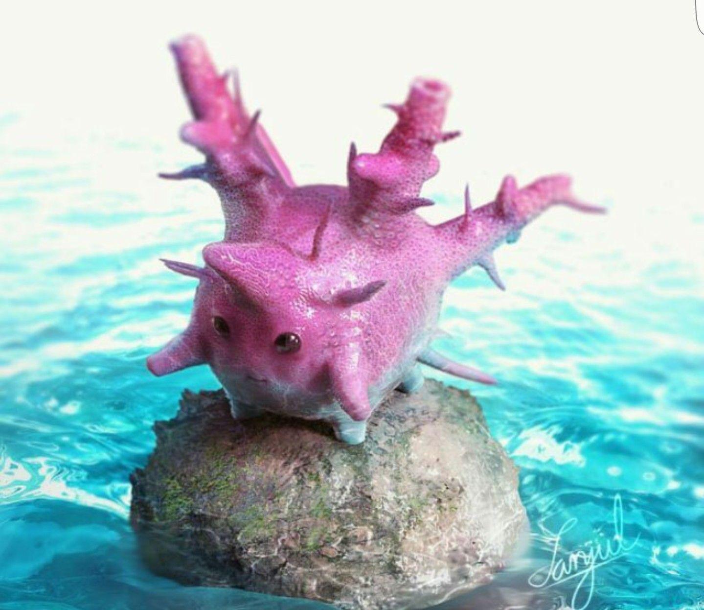 Corsola Hd Wallpapers