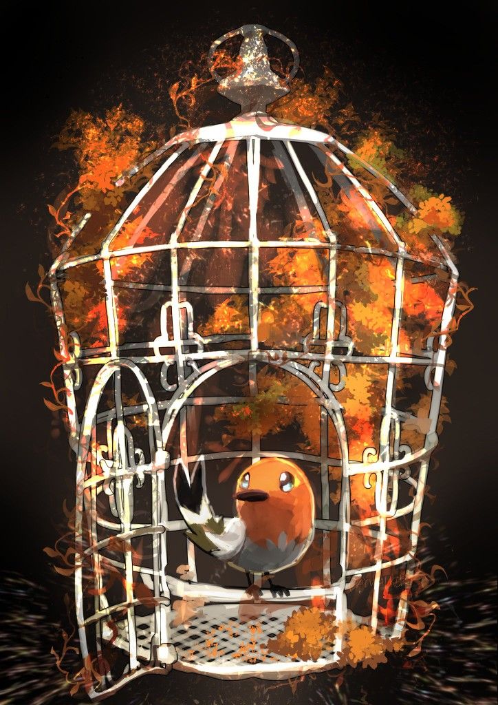 Fletchling Hd Wallpapers