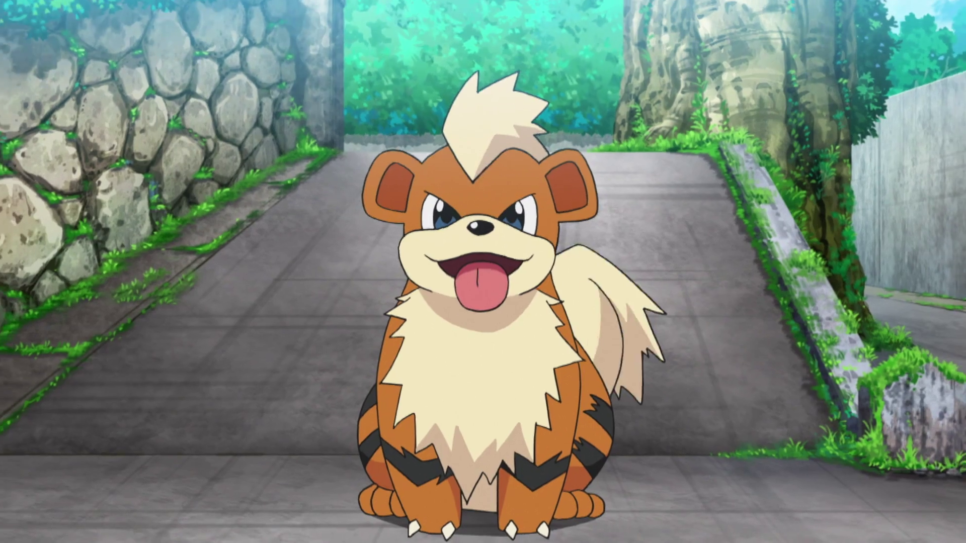 Growlithe Hd Wallpapers