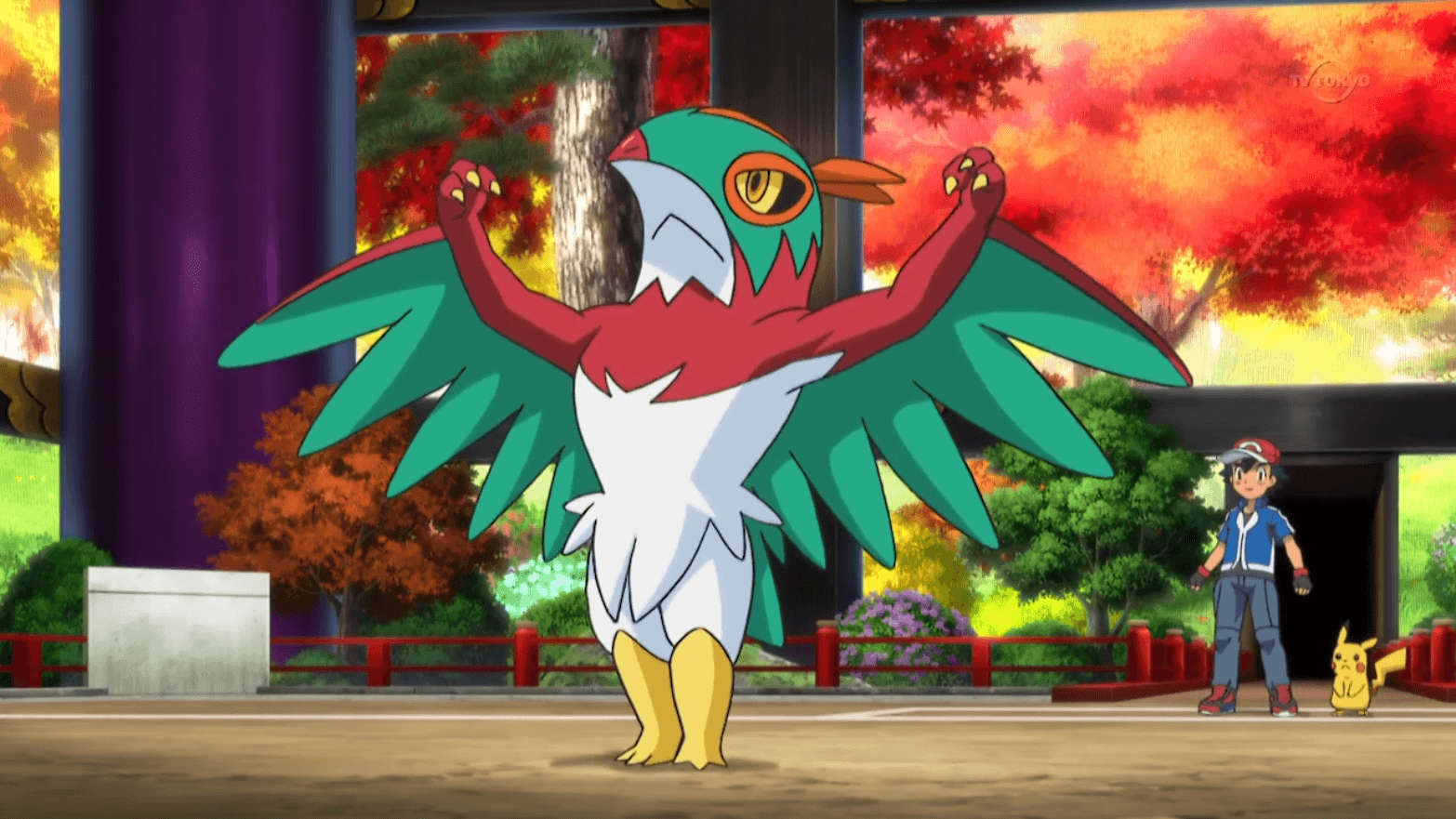 Hawlucha Hd Wallpapers