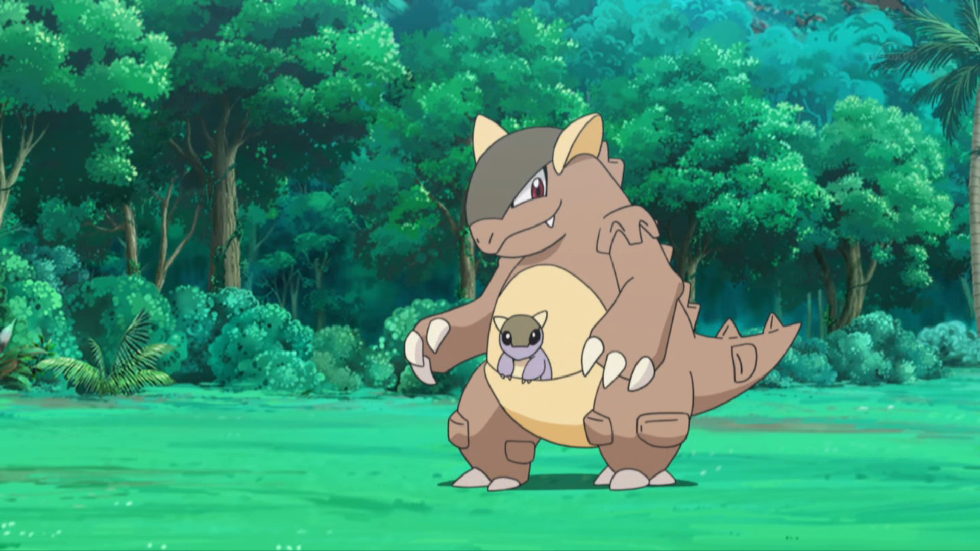 Kangaskhan Hd Wallpapers