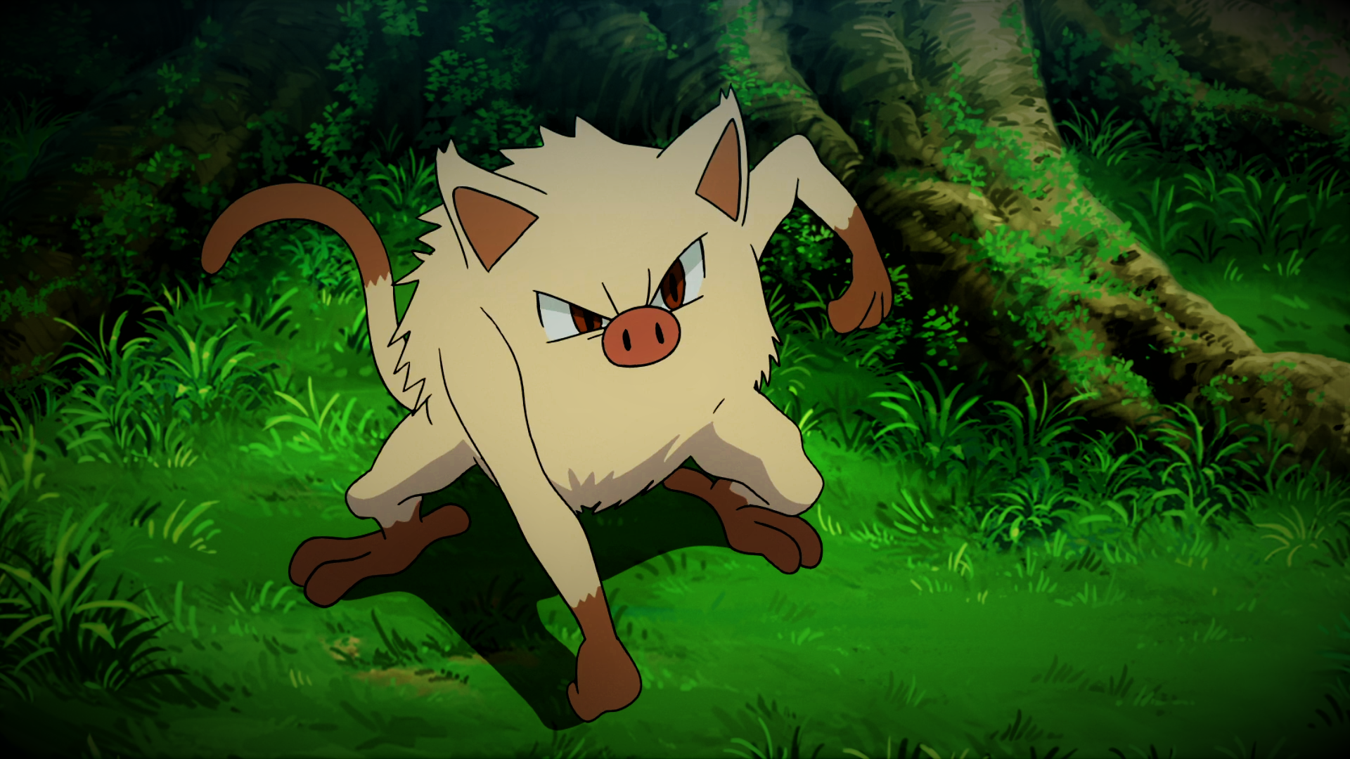 Mankey Pokemon Hd Wallpapers