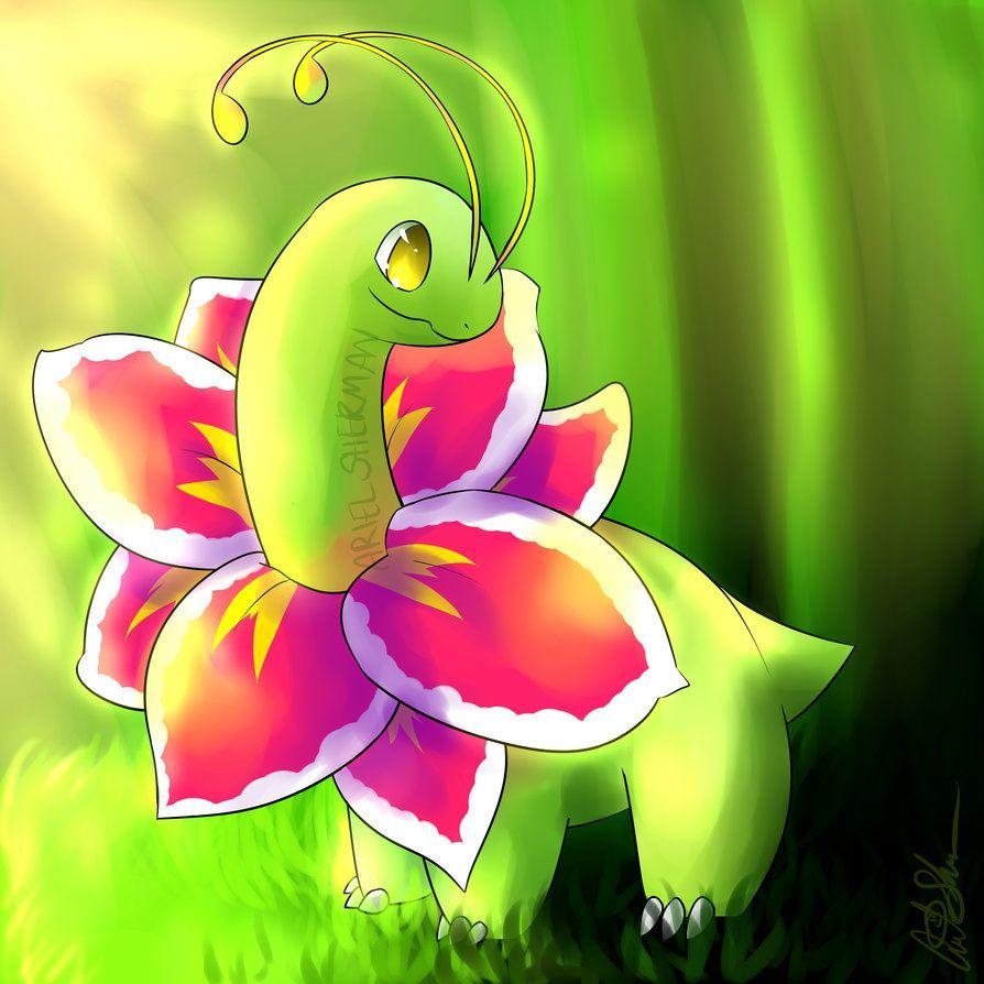 Meganium Hd Wallpapers