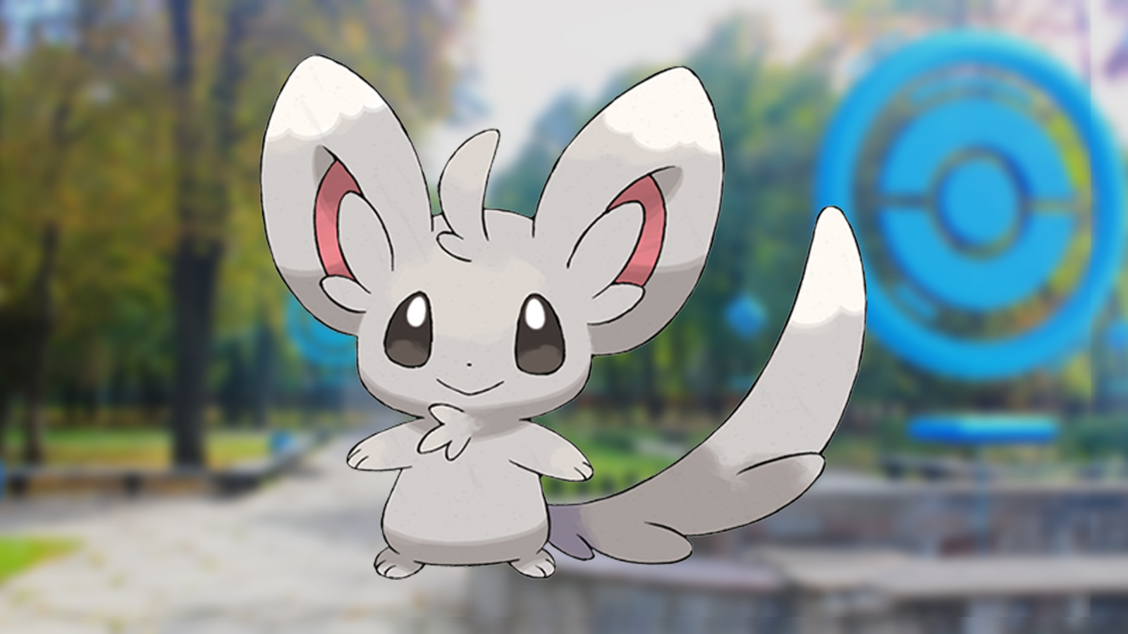 Minccino Hd Wallpapers