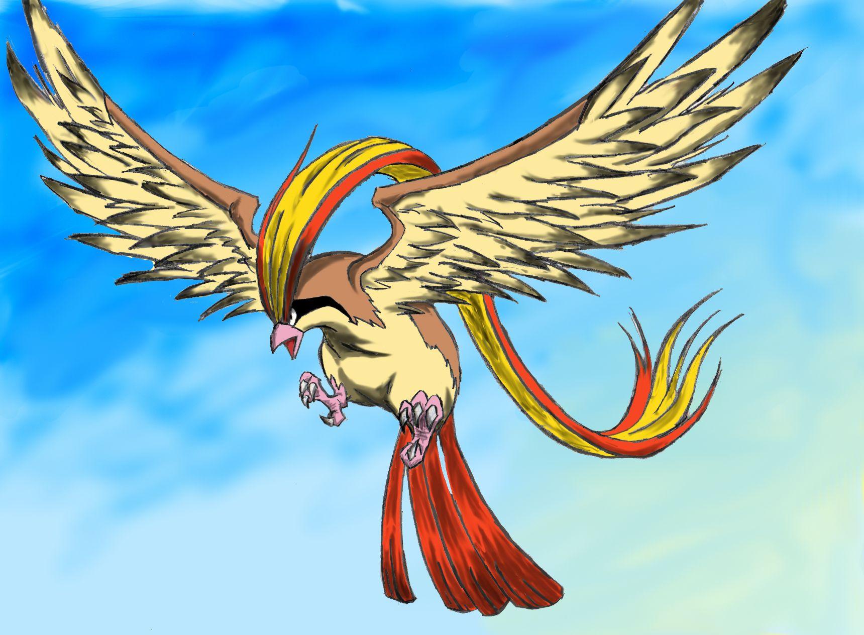 Pidgeot Hd Wallpapers