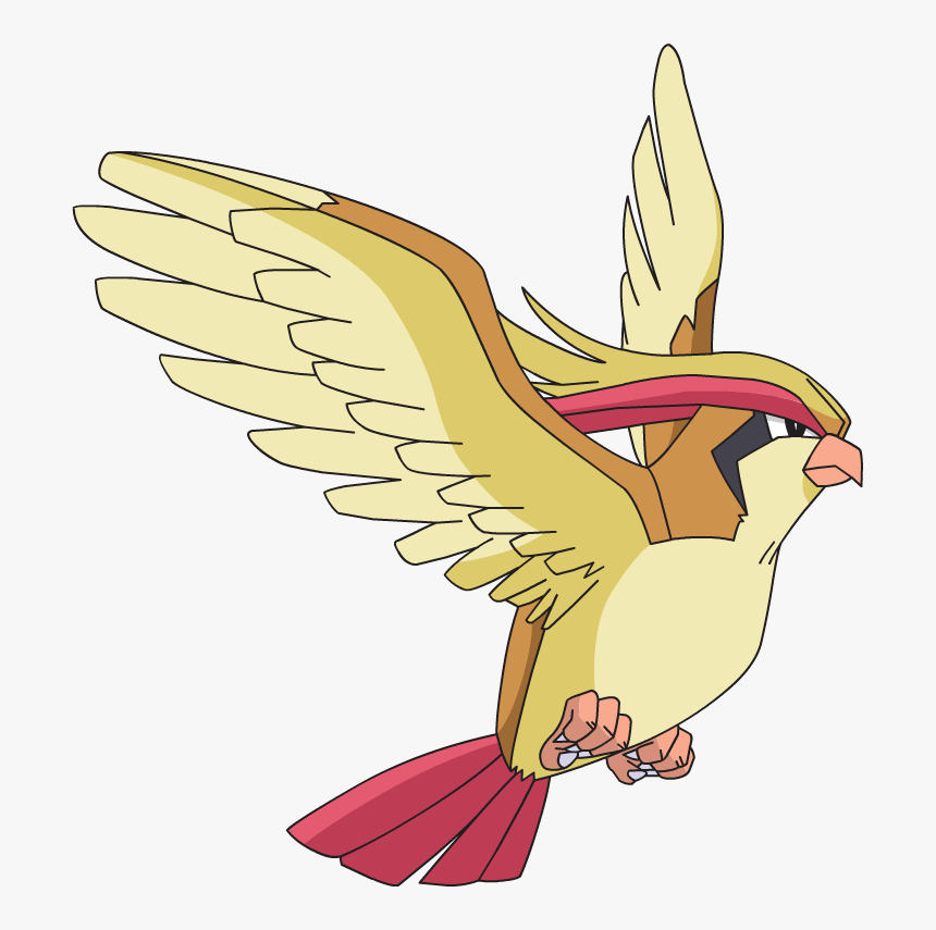 Pidgeot Hd Wallpapers