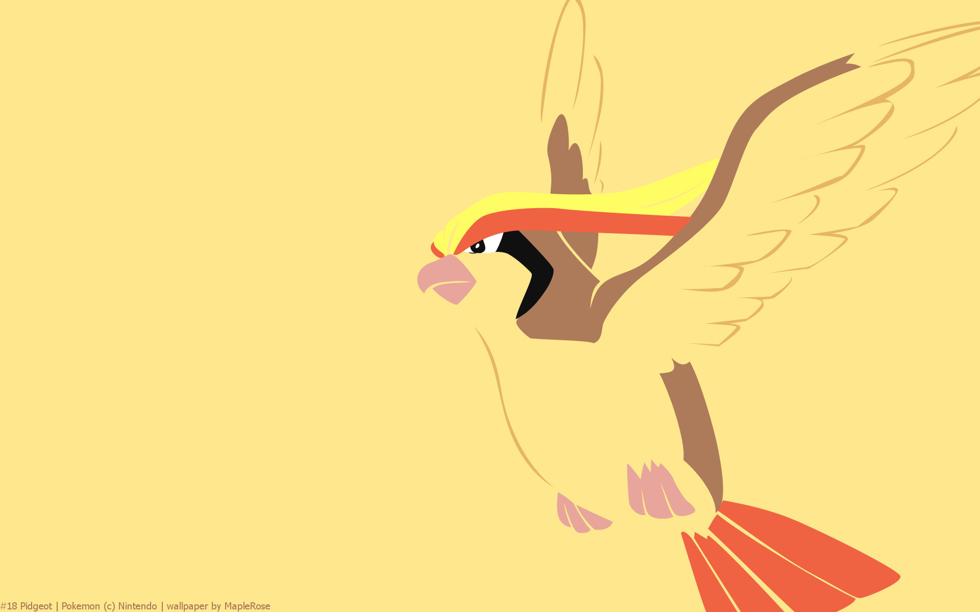 Pidgeot Hd Wallpapers