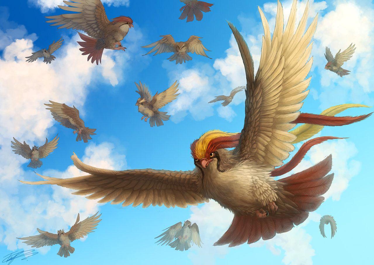 Pidgeot Hd Wallpapers