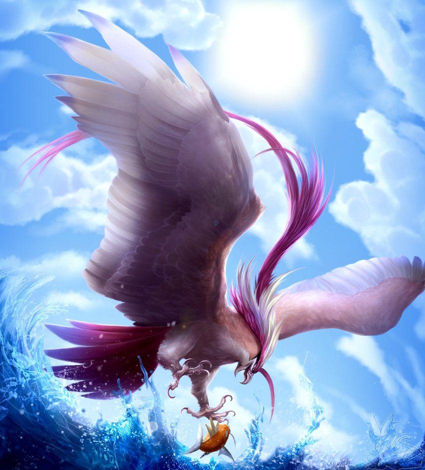 Pidgeotto Hd Wallpapers