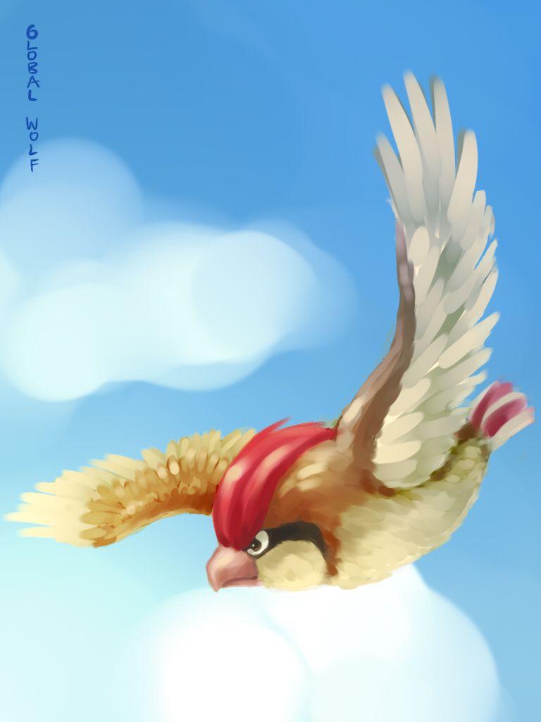 Pidgeotto Hd Wallpapers