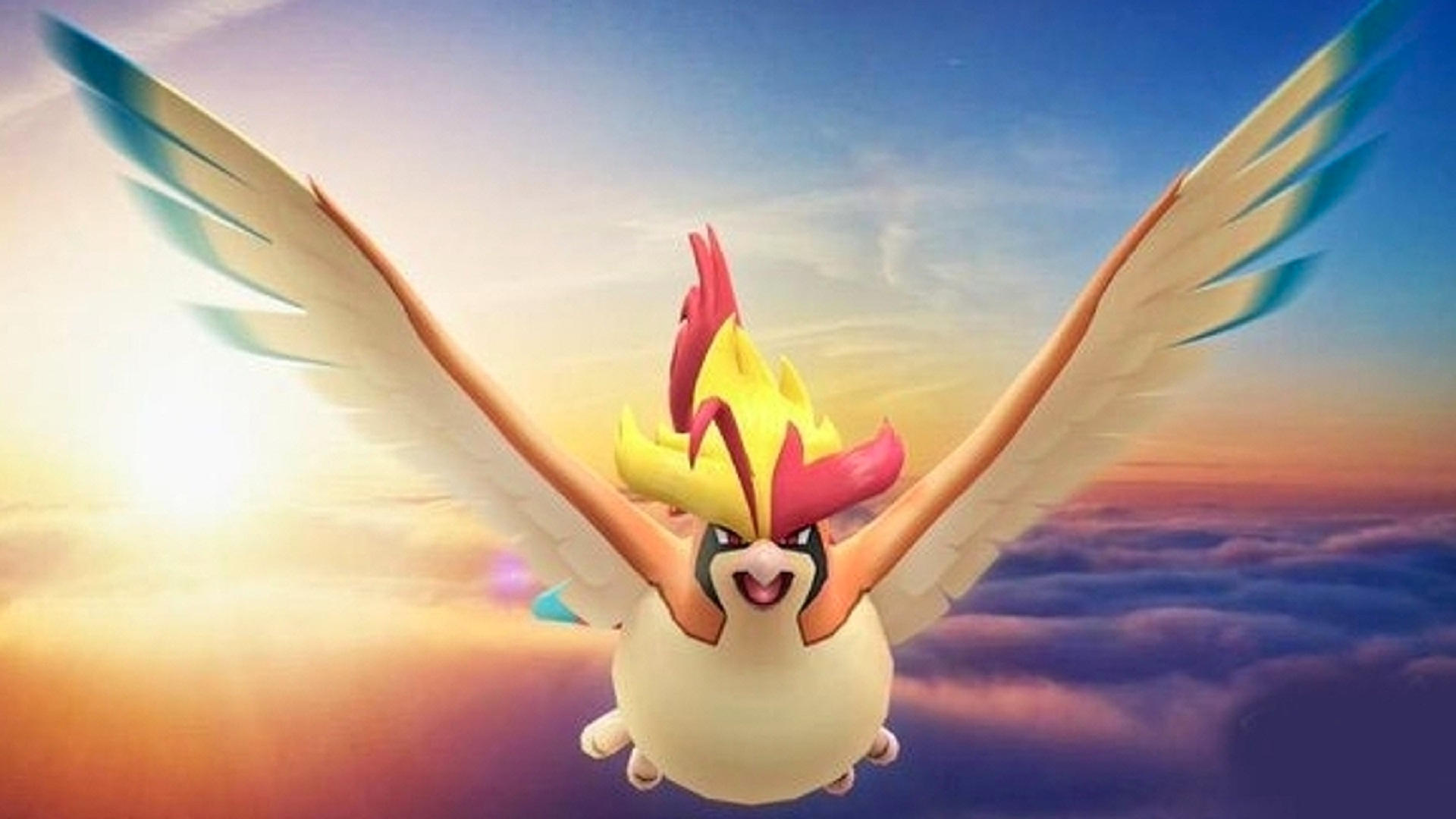 Pidgeotto Hd Wallpapers