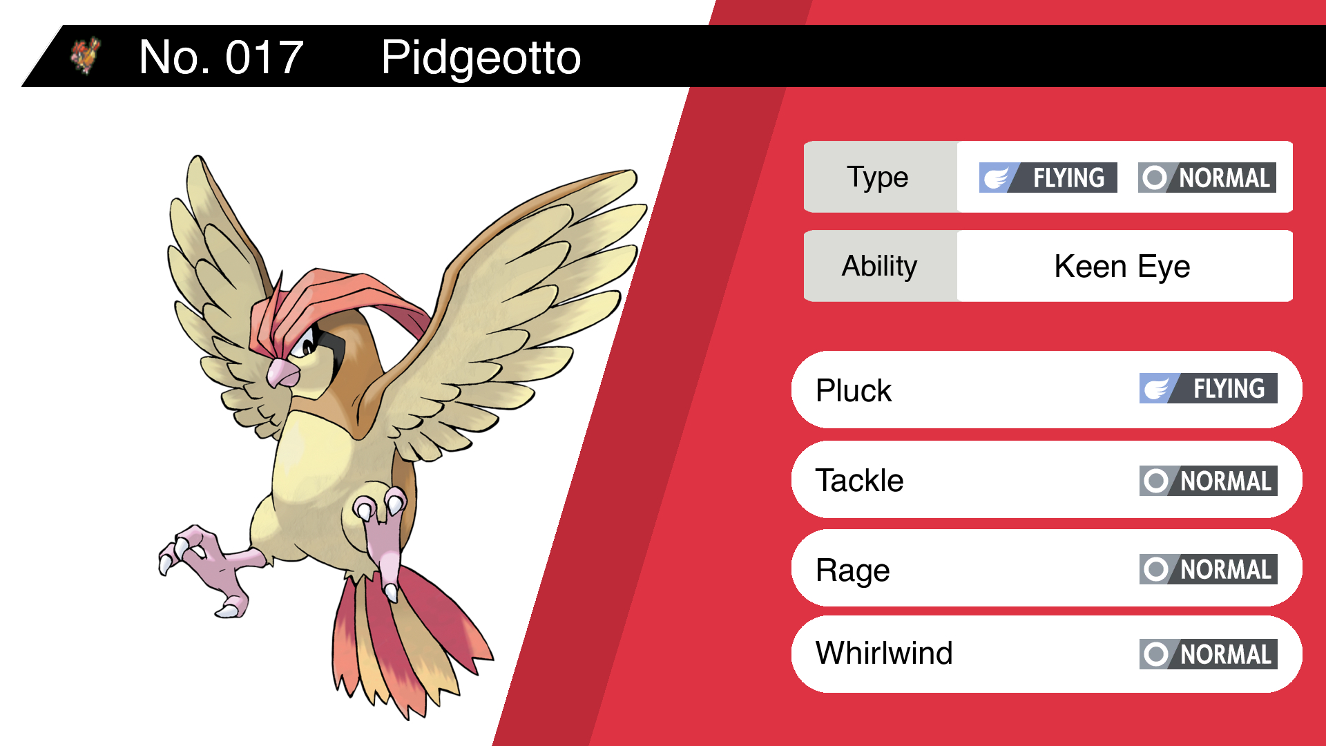 Pidgeotto Hd Wallpapers