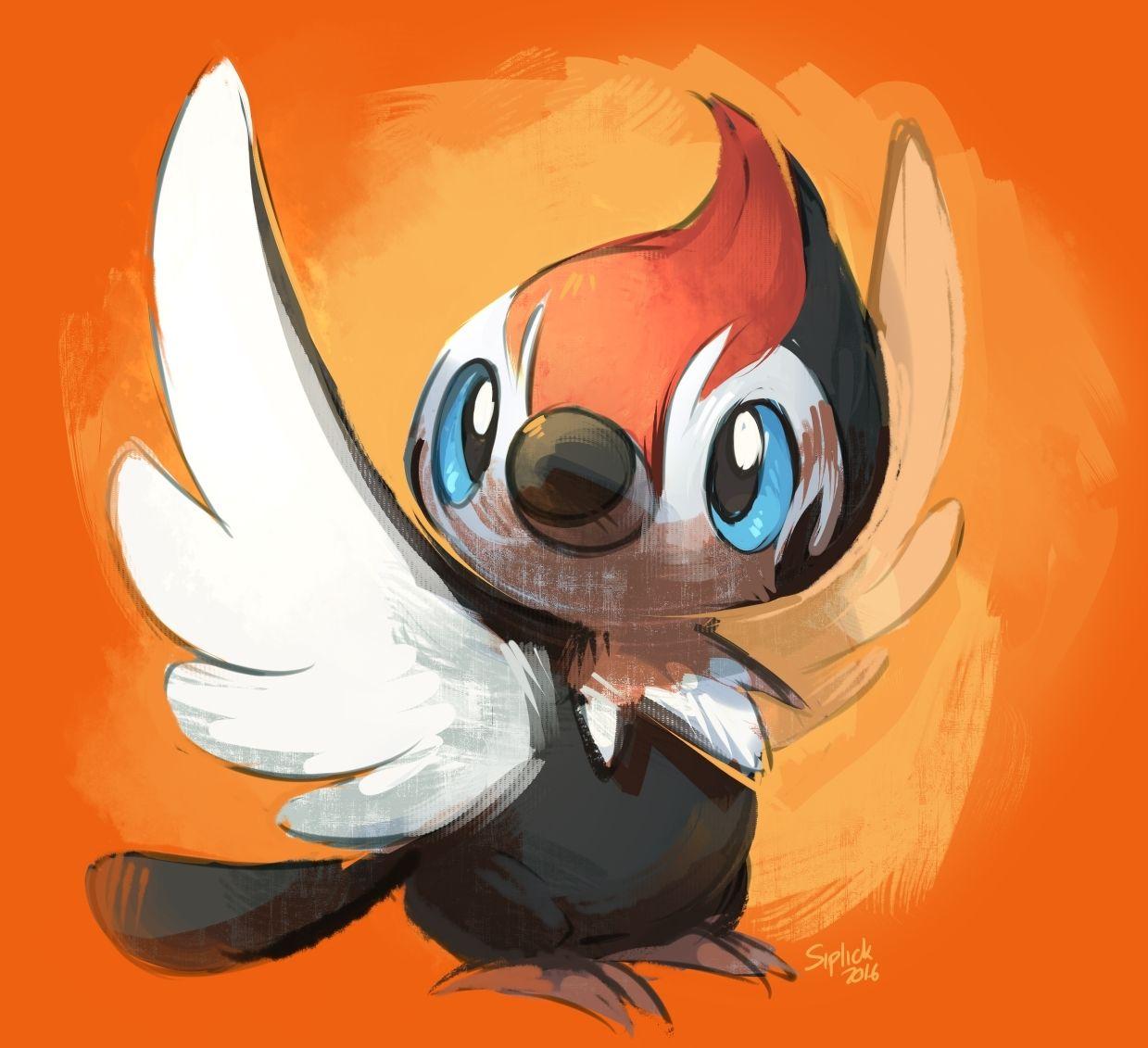 Pikipek Hd Wallpapers