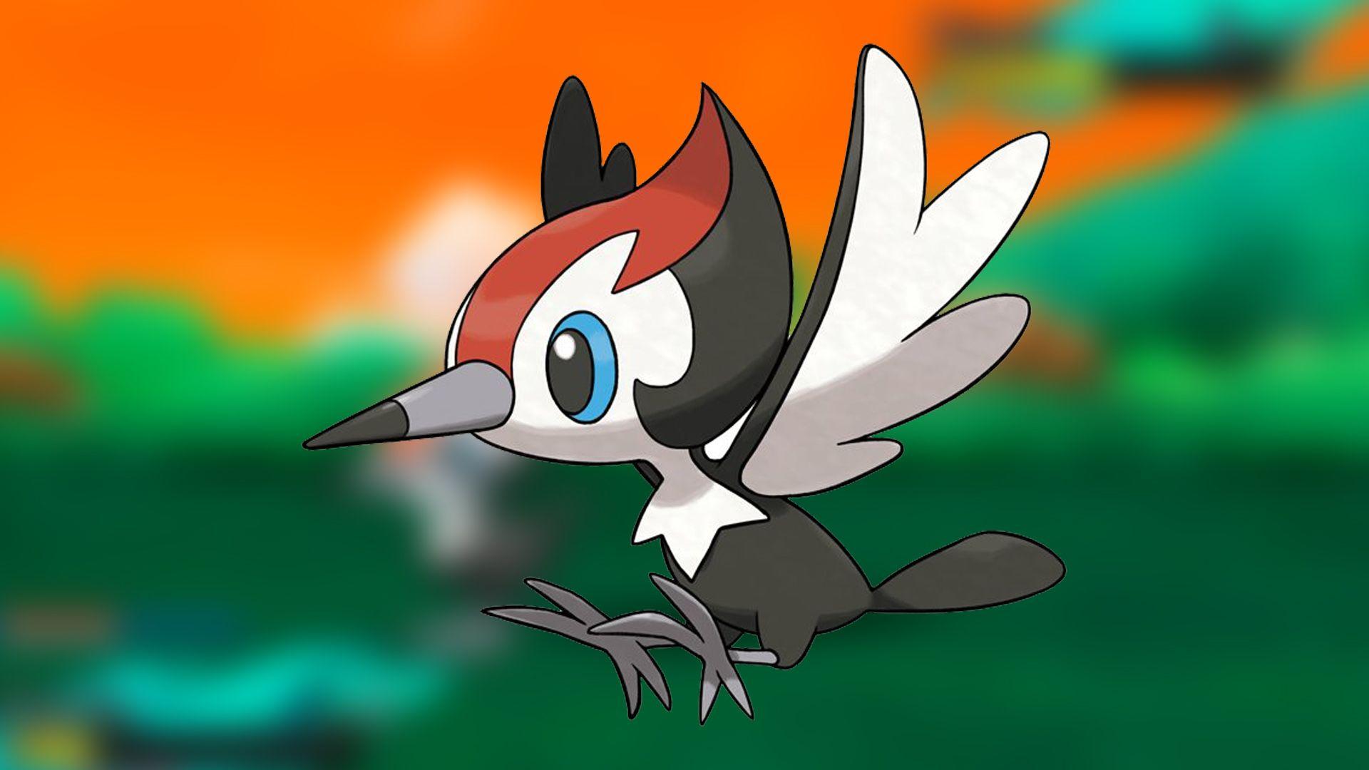 Pikipek Hd Wallpapers