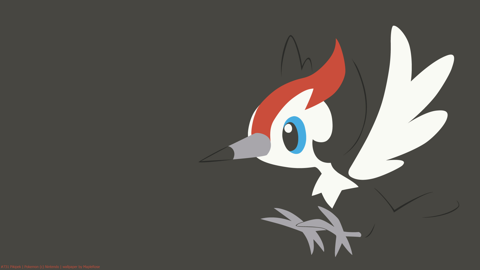 Pikipek Hd Wallpapers