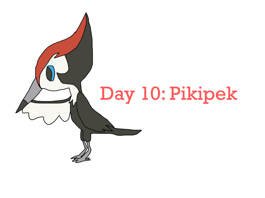 Pikipek Hd Wallpapers