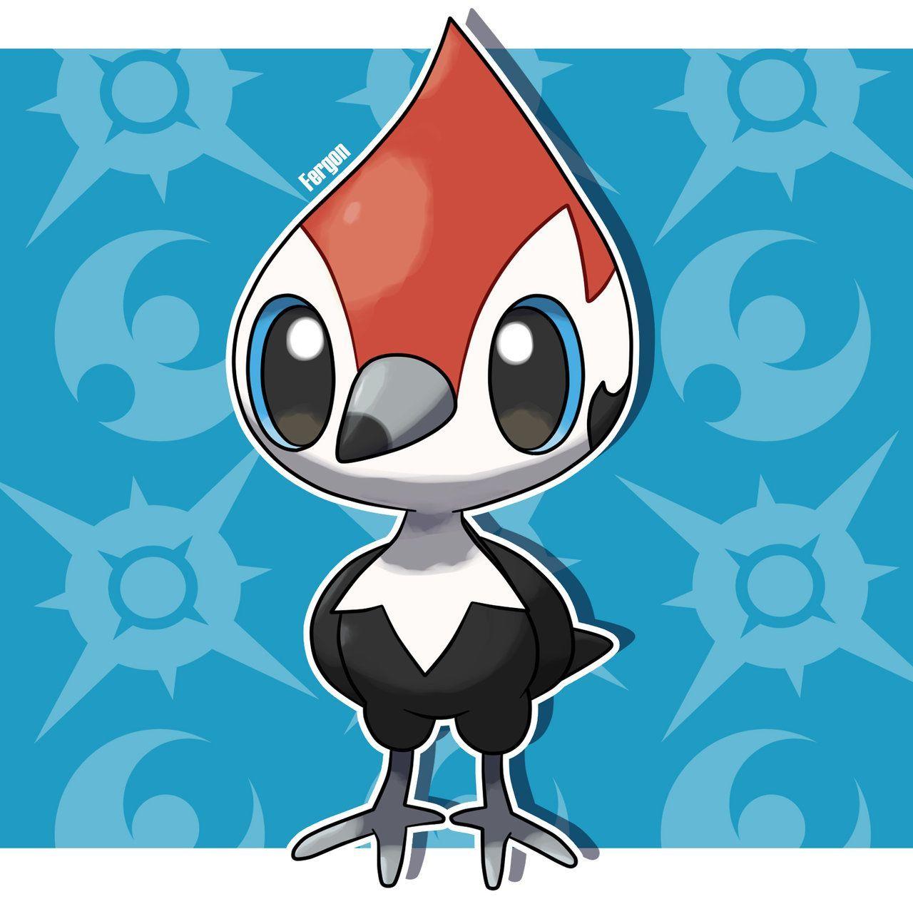 Pikipek Hd Wallpapers